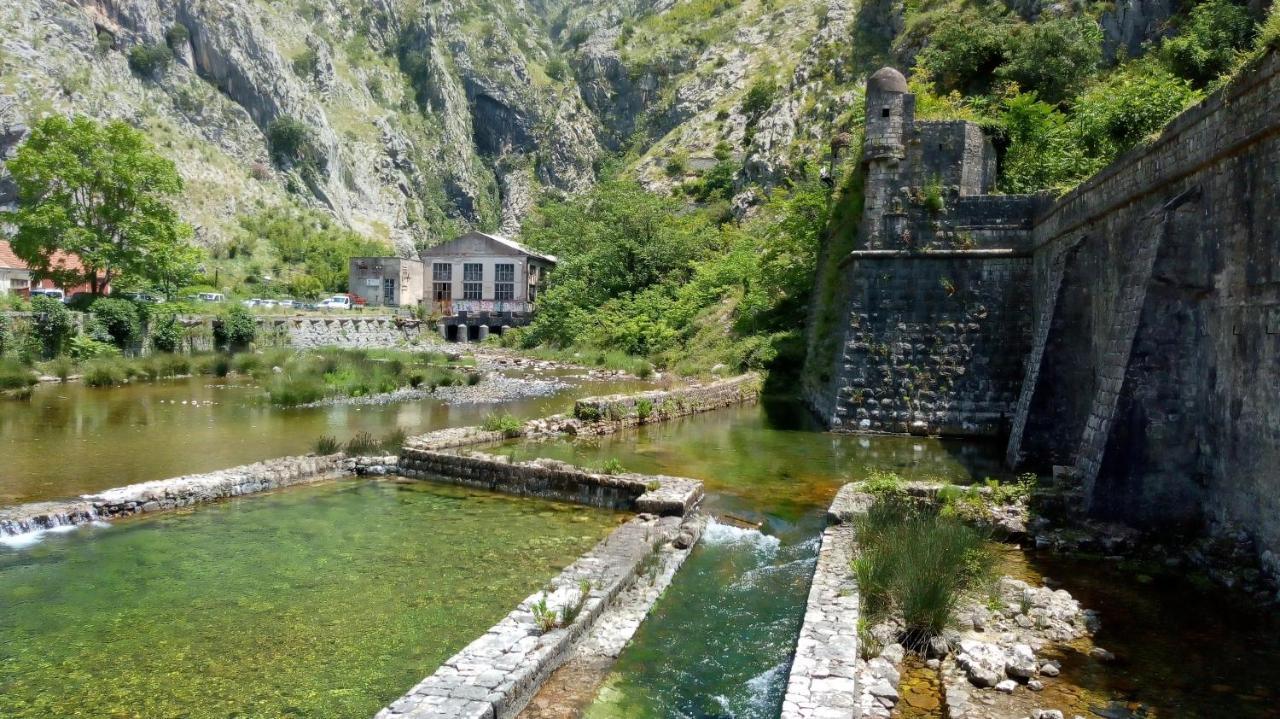 Tea Appartement Kotor Buitenkant foto